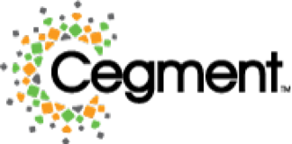 Rexer Analytics Client Cegment